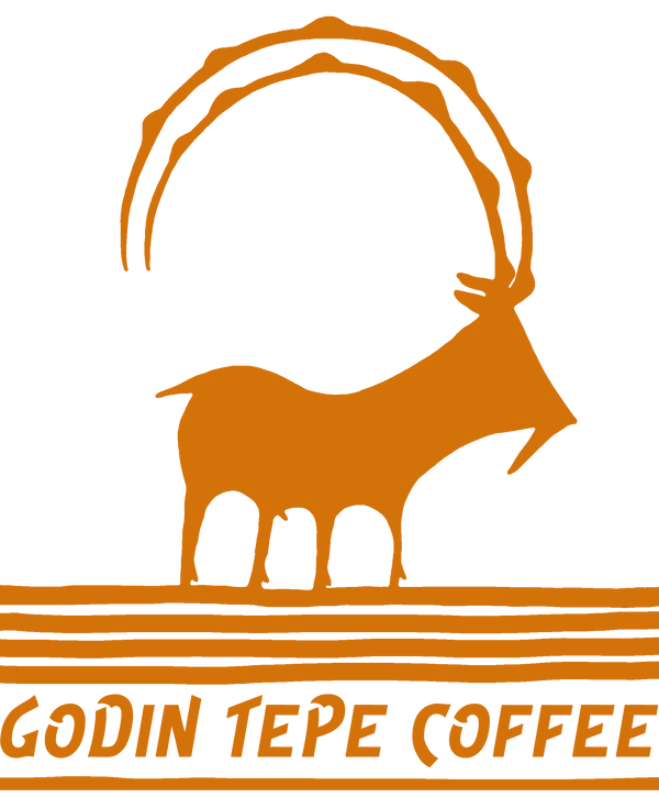 Godin Tepe Coffee